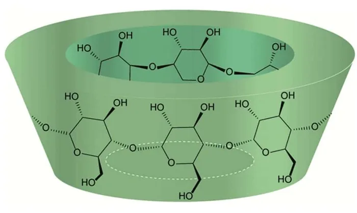 The beta-cyclodextrin ring that holds the lecithin